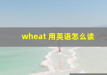 wheat 用英语怎么读